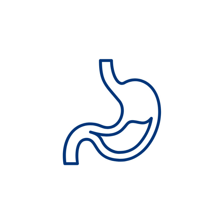 Icon eines Organs zur Visualisierung der viszeralen Osteopathie.